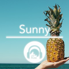 Sunny【No Copyright Music】