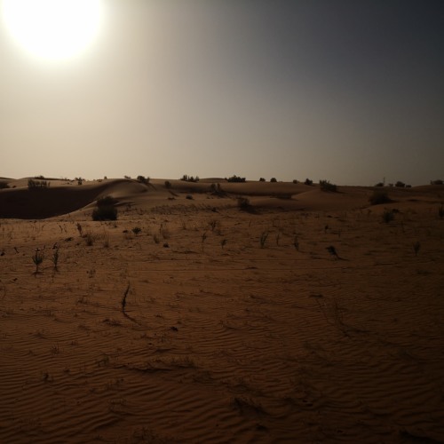 يأم العيون الوساع - عبدالله بن عون