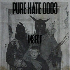 INSECT - PUREHATEPODCAST0003 [PHP0003]