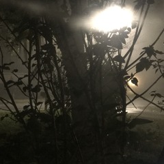 T Shirt (prod.sorrow bringer)