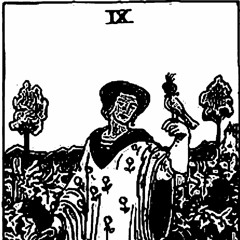 nine of pentacles (demo?)