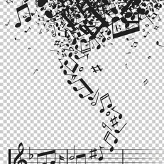 Reunited Improvisation 1-15-2020 @ Harry's