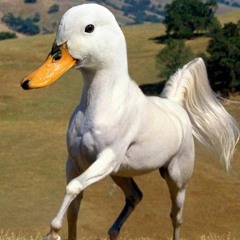 Varum du dum(feat tysker, jonas)