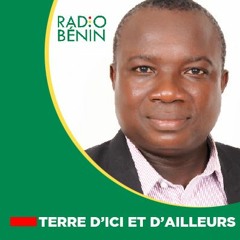 Terre d'ici et d'ailleurs : La déforestation, le symbole du déclin du samba