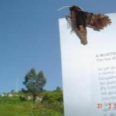 Dormidela: Cartas Pra Deus