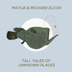 PREMIERE: Matija & Richard Elcox - The Last Mountain (Umami Remix) [Bunte Kuh]