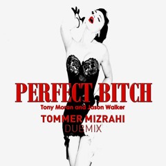 Perfect Bitch  (Tommer Mizrahi Official Dub Remix)