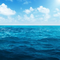The Ocean Between