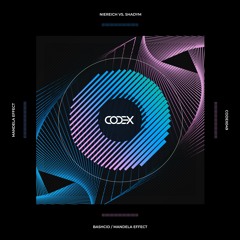 Niereich VS. Shadym - Bashcid (Original Mix)