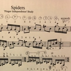 Spiders