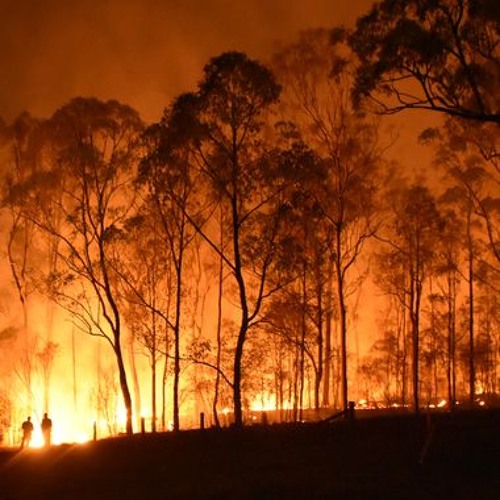 Humans, not Climate Change, Fed Australia's Wildfires (Guest: Gregory Wrightstone)