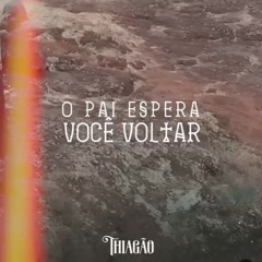 Thiagão - O Pai espera você voltar ( 256kbps cbr ).mp3