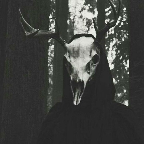 Lida - тупая песня для слэма