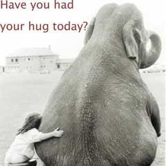 Navid Abdollahi - Nisti Tanha