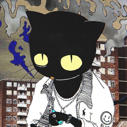 Lausse The Cat - Intro