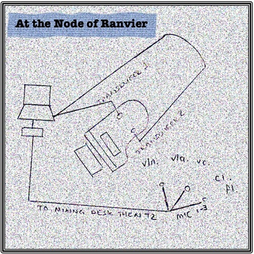 At The Node Of Ranvier (Explore Ensemble)