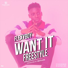 FlexyBoy - Want it (Freestyle)