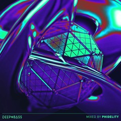 DNB 18: Phidelity (Live at Sundazed/ Oxbow Park)