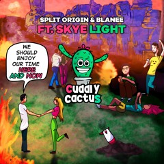 Split Origin & Blanee Feat. Skye Light - Here and Now