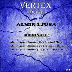 Almir Ljusa - Burning Up (DJ Gumja Remix)