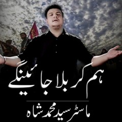 Hum Karbala Jayegaye |Master Syed Muhammad Shah| New Noha 2018-19