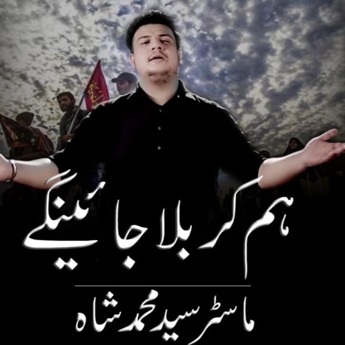 Hum Karbala Jayegaye |Master Syed Muhammad Shah| New Noha 2018-19