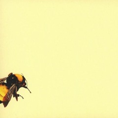 tyler, the creator (feat. kali uchis) - see you again [lo-fi remix]