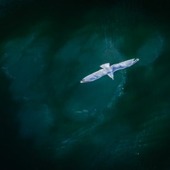 37 - Life and Death: Navigating Potentially Traumatic Experiences