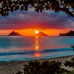 "No Stress" - Day 15