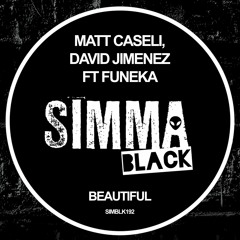 Matt Caseli, David Jimenez feat. Funeka - Beautiful (Alaia & Gallo Dub)