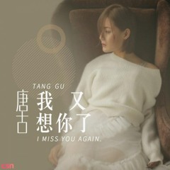 Em Lại Nhớ Anh Rồi ̣̣̣̣̣̣̣̣̣̣̣(我又想你了)