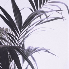 Ataeinaine 🇰🇮🎶