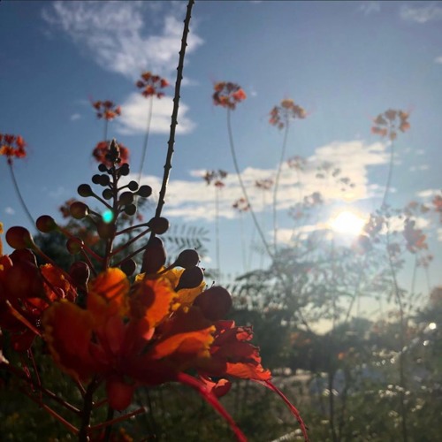 Tuxx - Beautiful Ending {prod. tuxx}