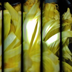 Hypnotizing Circle Dance sample/Hollow Groove Sound part II