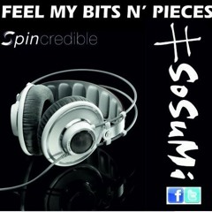 Sosumi - Feel My Bits N Pieces (Macca 2020 Remix) CAR CHOONZ