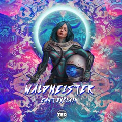 Waldmeister - Can't Explain ( Free download )