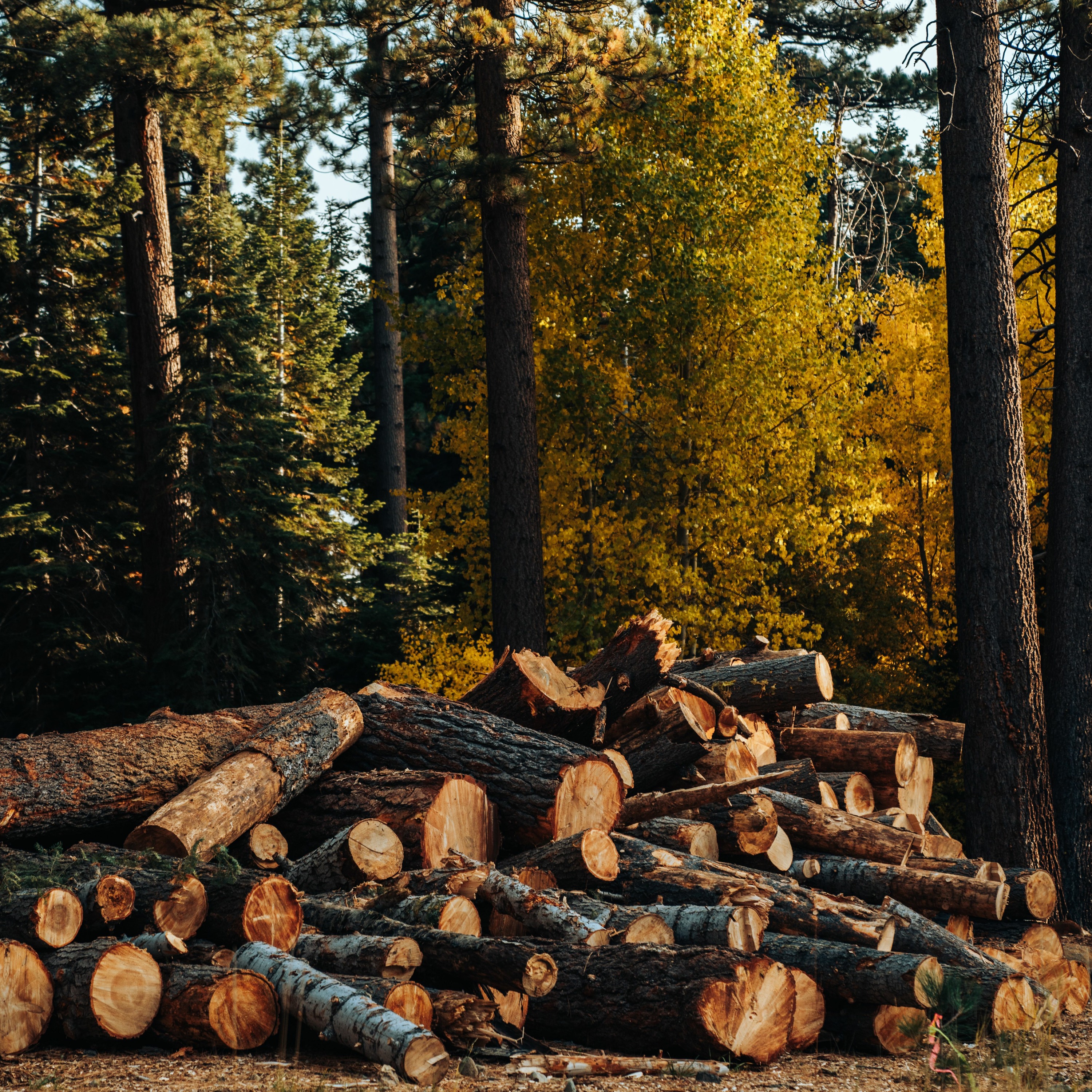 Mercredis Ecologie - Youmatter