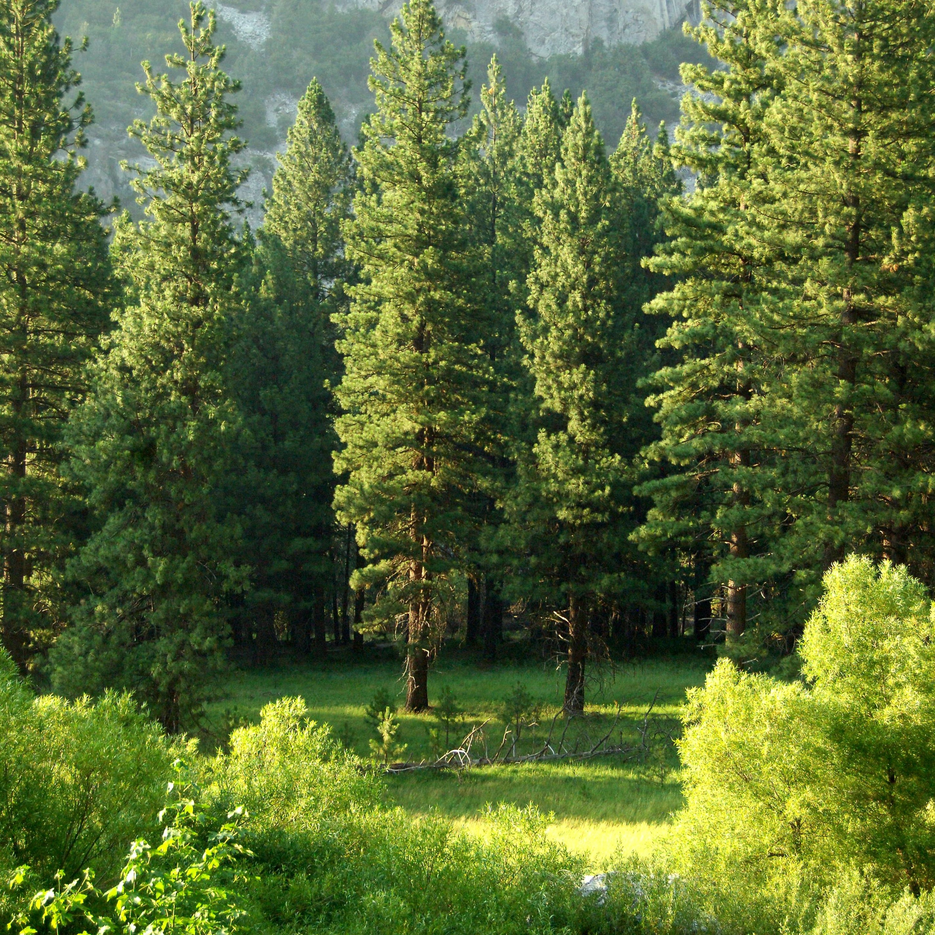 Mercredis Ecologie - Youmatter