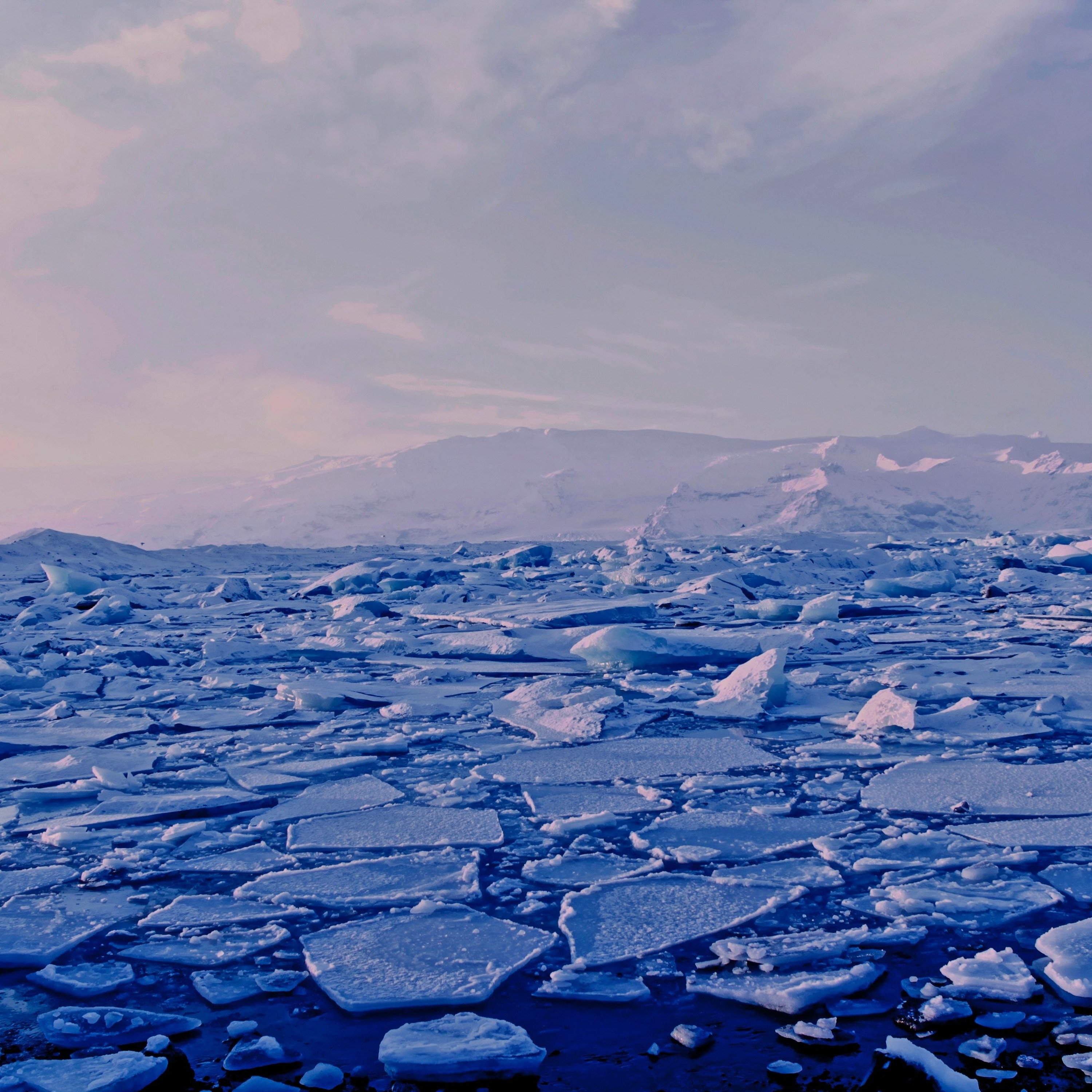Mercredis Ecologie - Youmatter
