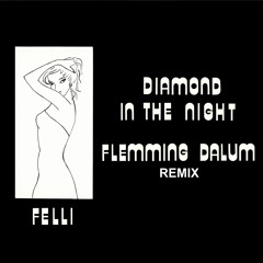 Felli - Diamonds In The Night (Flemming Dalum Remix)