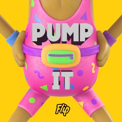 DJ Flip One - Pump It