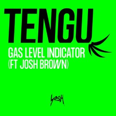 16. Gas Level Indicator (ft Josh Brown) [Preview] (Comin' In Tough)