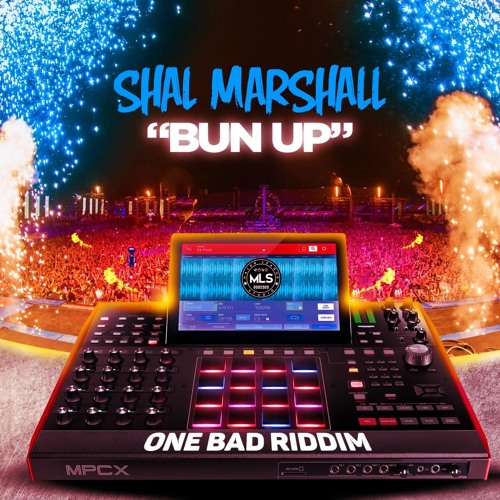 Shall Marshall: "Bun Up"