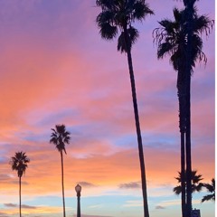 Trees ~ original song (kalimba freestyle)