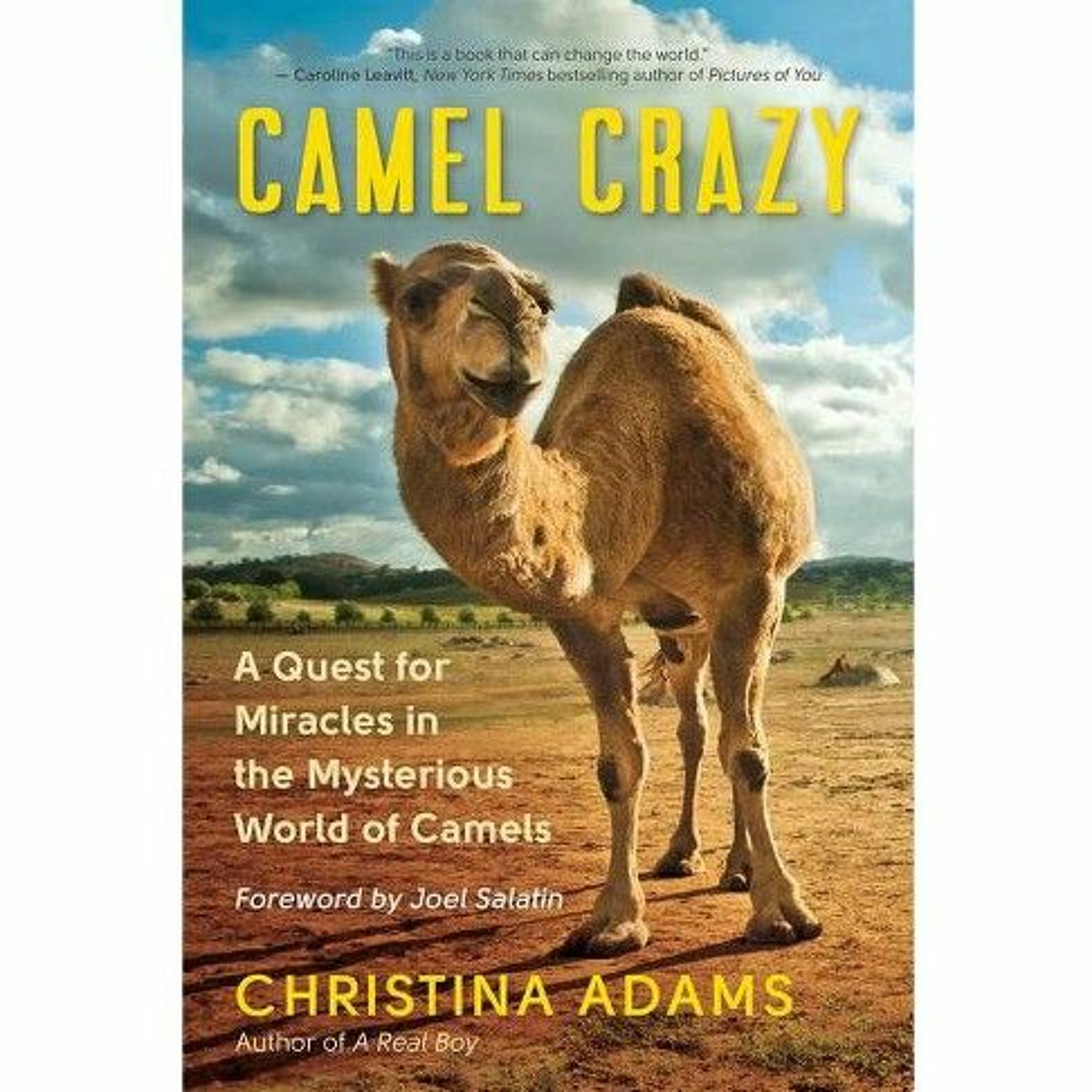 The Magical Mystery Tour Jan 17 2020 Camel Crazy - Camel Milk & Autism w Christina Adams episode artwork