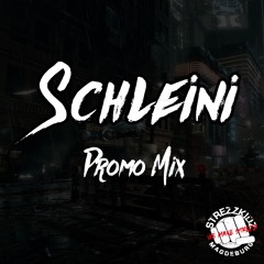 Schleini - Promo Mix 2020 Strezzkidz