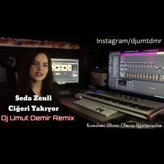 Seda Zenli - Ciğeri Yakıyor (Dj Umut Demir Remix)