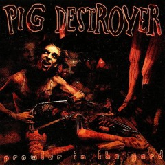 Pig Destoryer - Prowler In The Yard