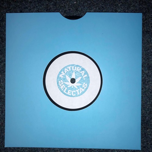 Blind Prophet - Make We Chant / Warring - NSRDUB010