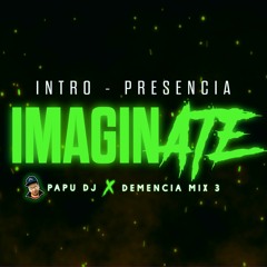 Intro Presencia - Imaginate - PAPU DJ (DemenciaMix3)